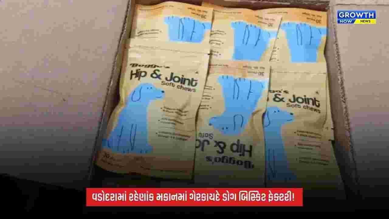 Vadodaraમાં રહેણાંક મકાનમાં ગેરકાયદે ડોગ બિસ્કિટ ફેક્ટરીનો પર્દાફાશ, લાઇસન્સ રદ થયા બાદ પણ ચાલતી હતી કામગીરી!