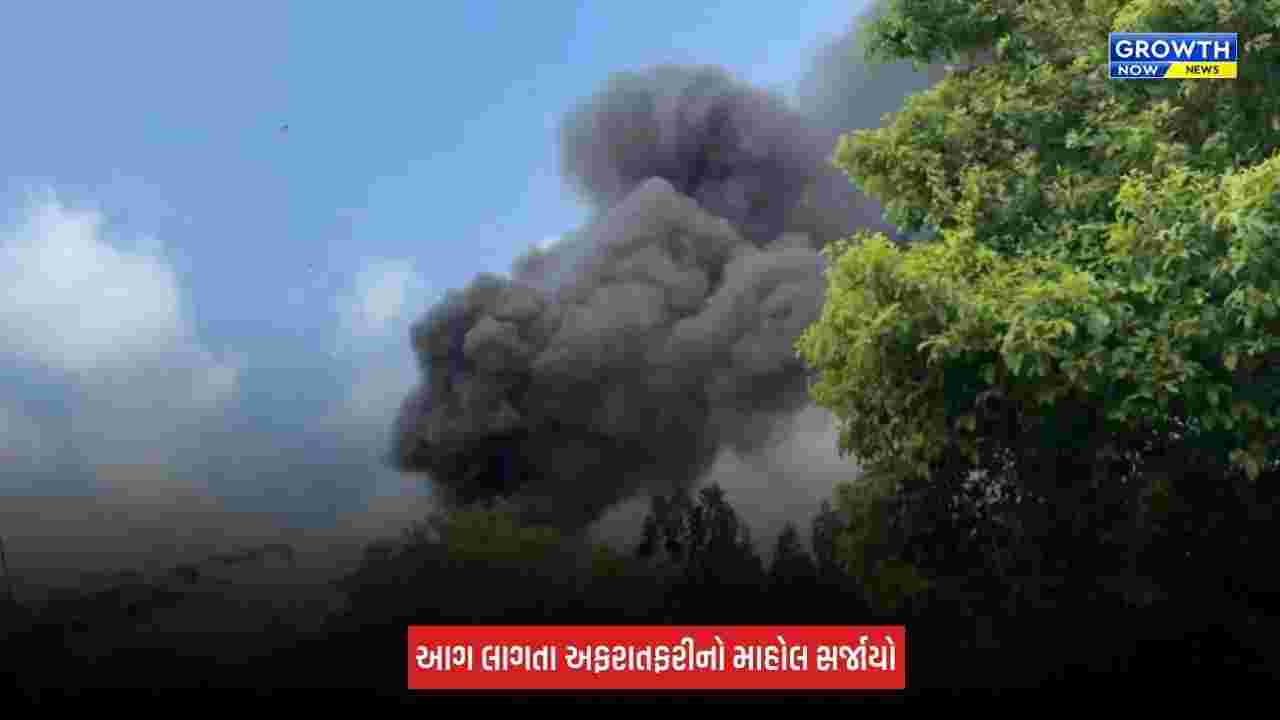 Anand : કબાડીના ગોડાઉનમાં લાગી ભીષણ આગ, ગોડાઉન અને સામાન બળીને ખાખ