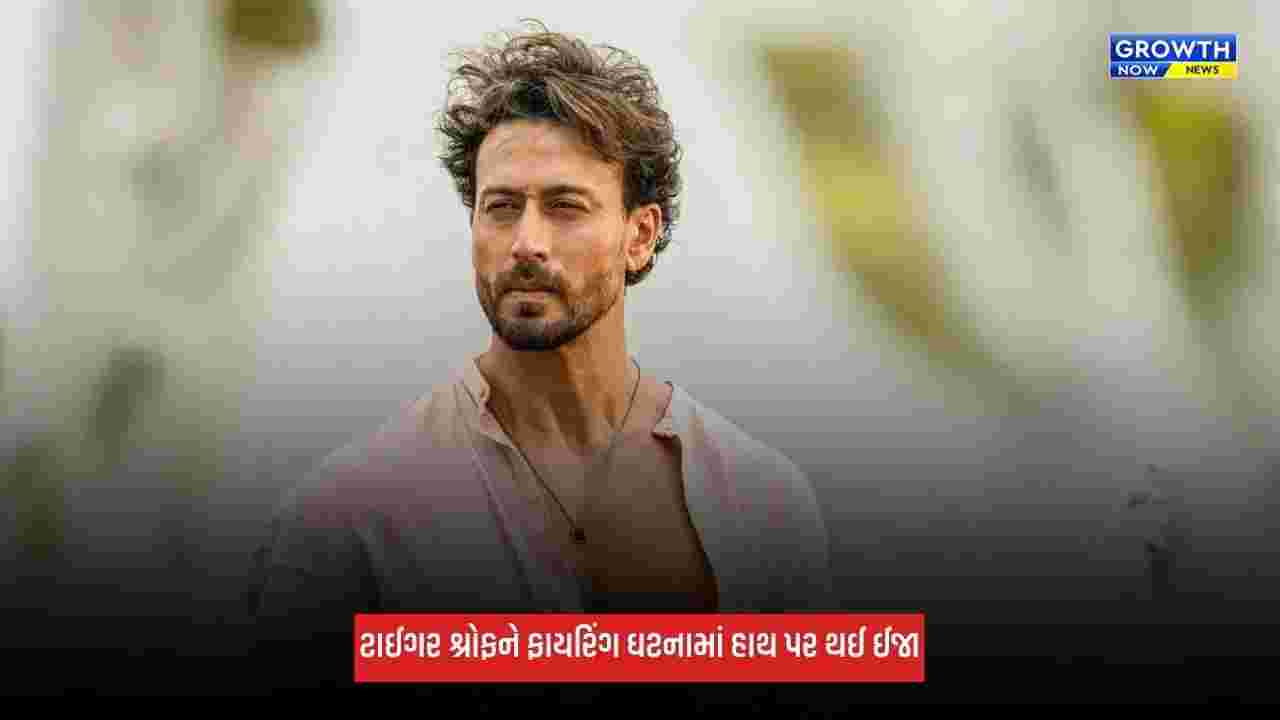 Tiger Shroffના હાથ પર ઈજાના નિશાન જોઈ ચિંતામાં ફેન્સ, માતા આયેશા શ્રોફે શેર કર્યો વીડિયો