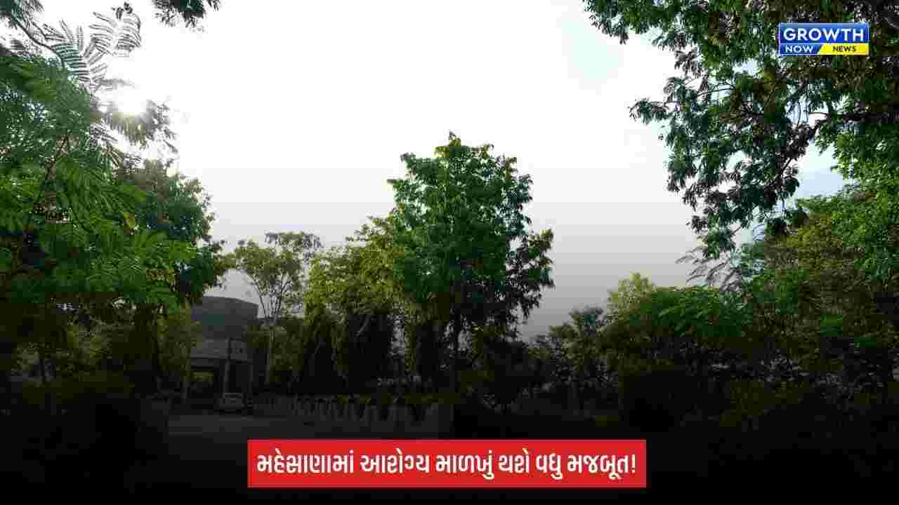 Mehsana: આરોગ્ય માળખાને મળશે વધુ મજબૂતી, 12 PHC માટે 31,957 ચો.મી. જમીન ફાળવાઈ
