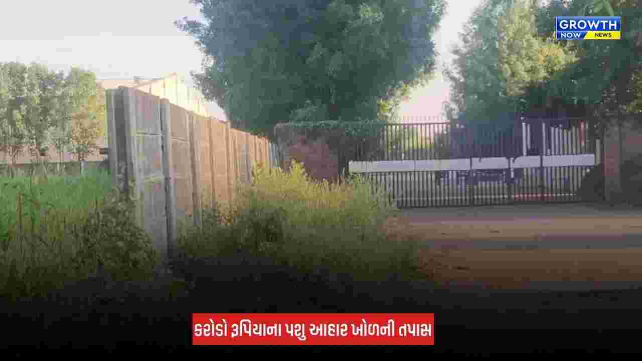 Mehsana-Kadiમાં પશુ આહારના ખોળના ગોડાઉનોમાં તપાસ, 1.57 લાખથી વધુ બોરીના જથ્થાની ચકાસણી