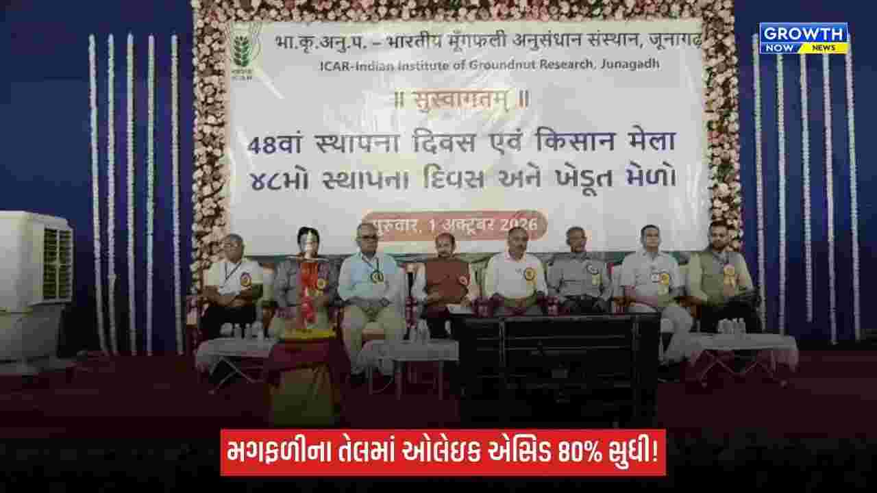 Junagadhના વૈજ્ઞાનિકોની મોટી સફળતા: મગફળીની નવી જાતો ‘ગિરનાર-4’ અને ‘ગિરનાર-5’ તૈયાર