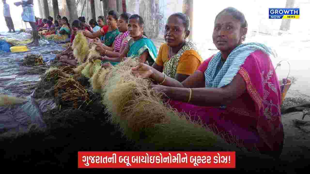 Porbandarના મોચામાં ₹100 કરોડનો મરિન બાયોટેકનોલોજી કોરિડોર બનશે, 30 એકરમાં રિસર્ચ હબ વિકસાવાશે