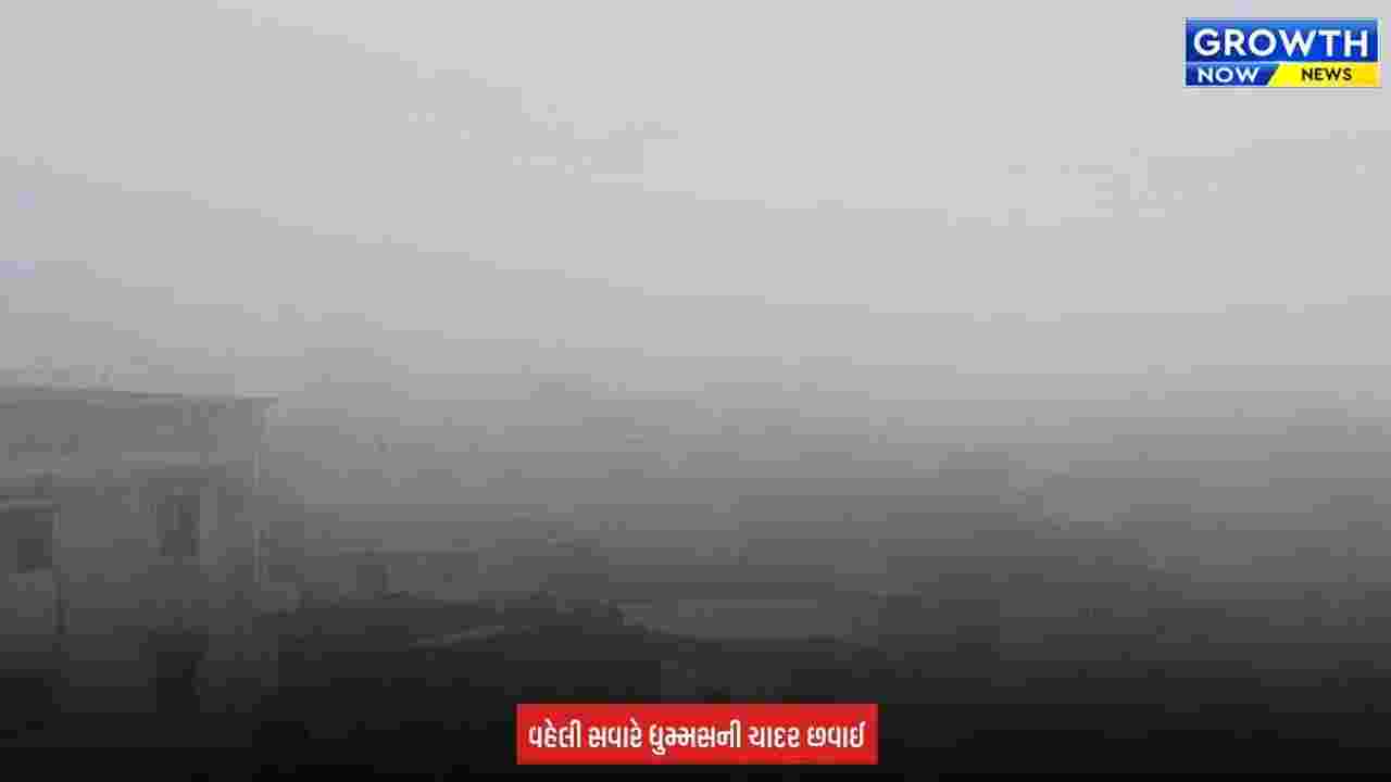 Rajkot Foggy Atmoshphere : ઉપલેટા-ધોરાજીમાં ગાઢ ધુમ્મસ અને ઝાકળ, કપાસના પાકને લઈને ખેડૂતોમાં ચિંતા