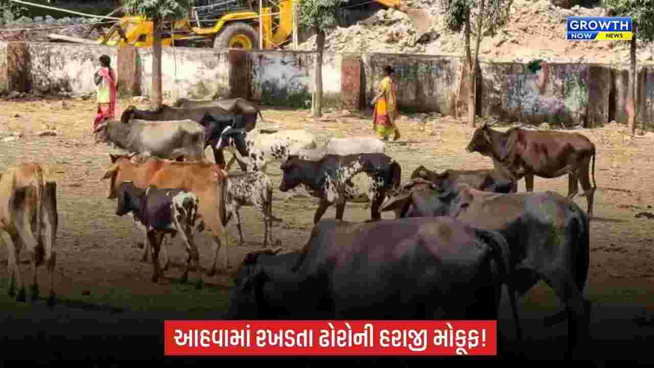 Dang: આહવામાં રખડતા ઢોરોના કાયમી નિકાલ માટે કાર્યવાહી, હરાજી મોકૂફ