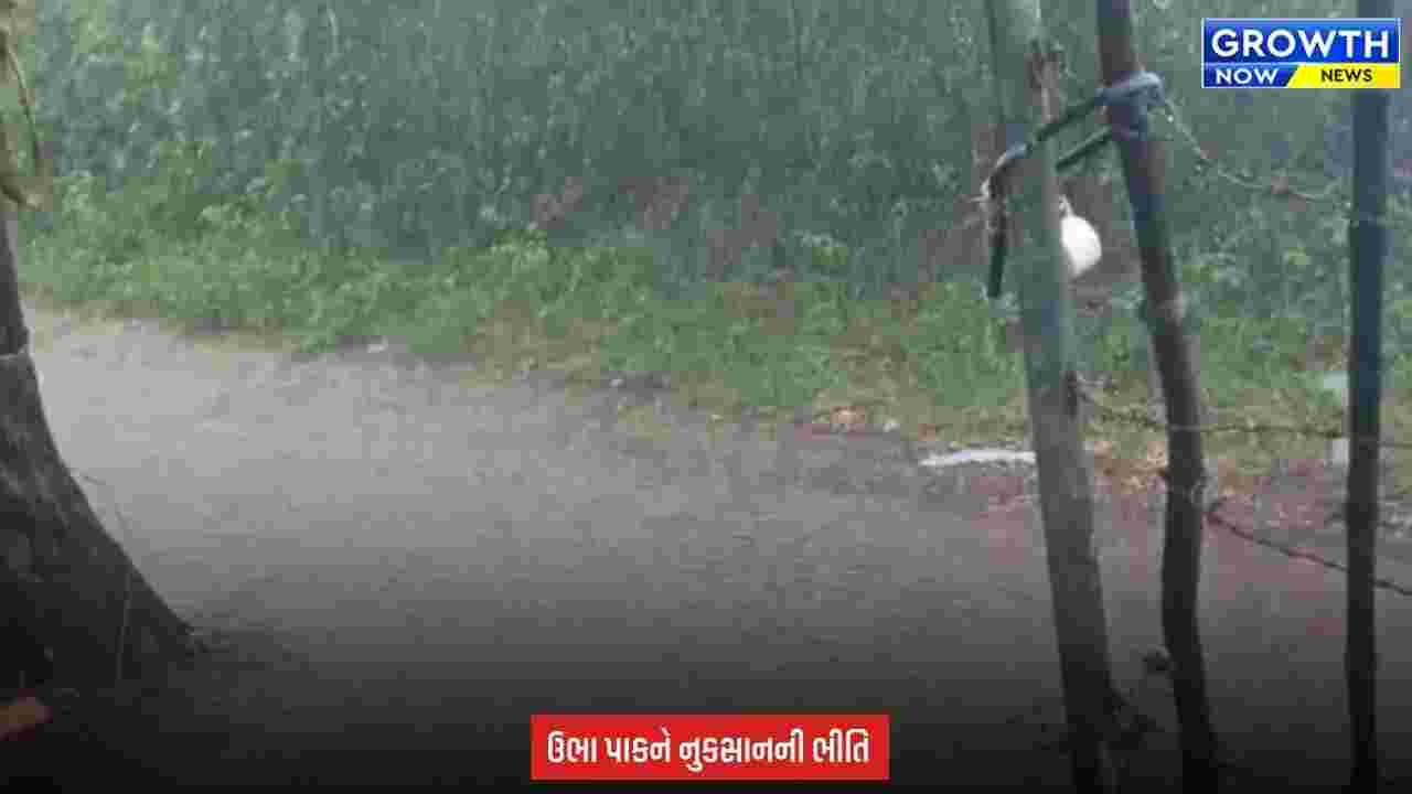Bhavnagar માં મેઘરાજાની ધમાકેદાર એન્ટ્રી, ગ્રામ્ય વિસ્તારોમાં ધોધમાર વરસાદનું આગમન