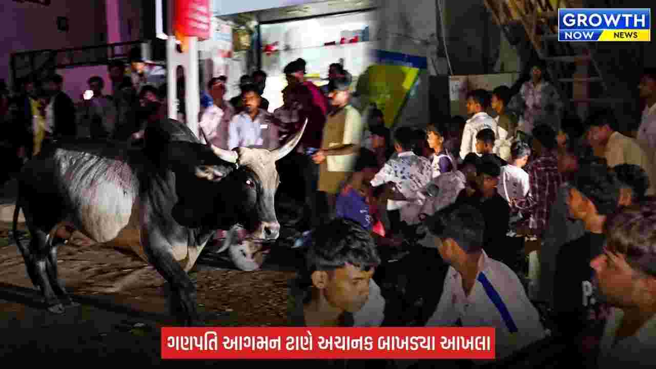 Dahod : ગણપતિ આગમન વચ્ચે આખલાઓનો આતંક, 7 થી 8 લોકો ઈજાગ્રસ્ત થતા હોસ્પિટલ ખસેડવામાં આવ્યા