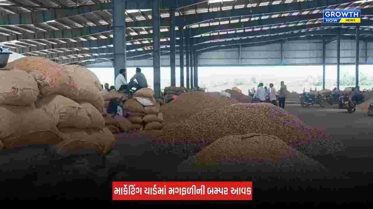 Bhavnagar : મહુવા માર્કેટિંગ યાર્ડમાં મગફળીની 20,000 ગુણીની આવક, યાર્ડ છલોછલ ભરાયું