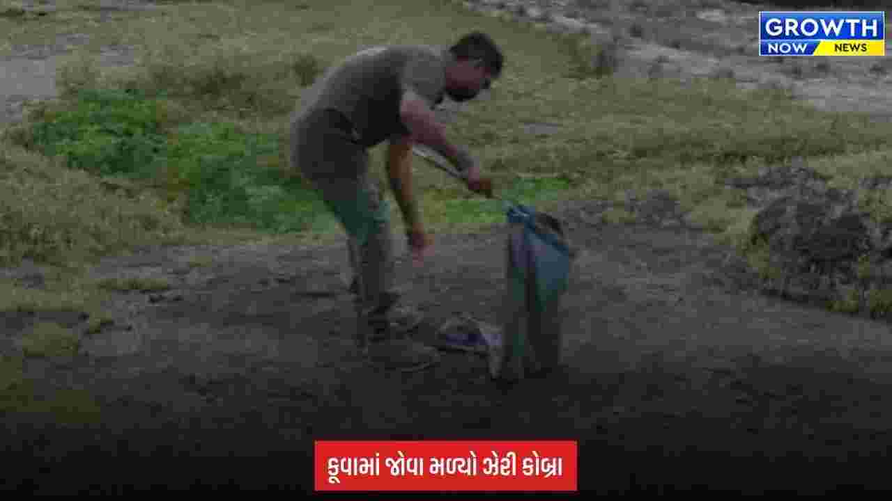 Junagadh:  લીલીયા ગામે 60 ફૂટ ઊંડા કૂવામાંથી ઝેરી કોબ્રાનું સફળ રેસ્ક્યુ