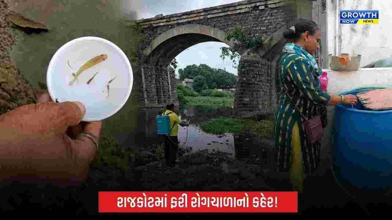 Rajkot Disease Outbreak: રાજકોટમાં ફરી રોગચાળાનો વધતો કહેર, શરદી-ઉધરસ અને તાવના કેસોમાં ઉછાળો