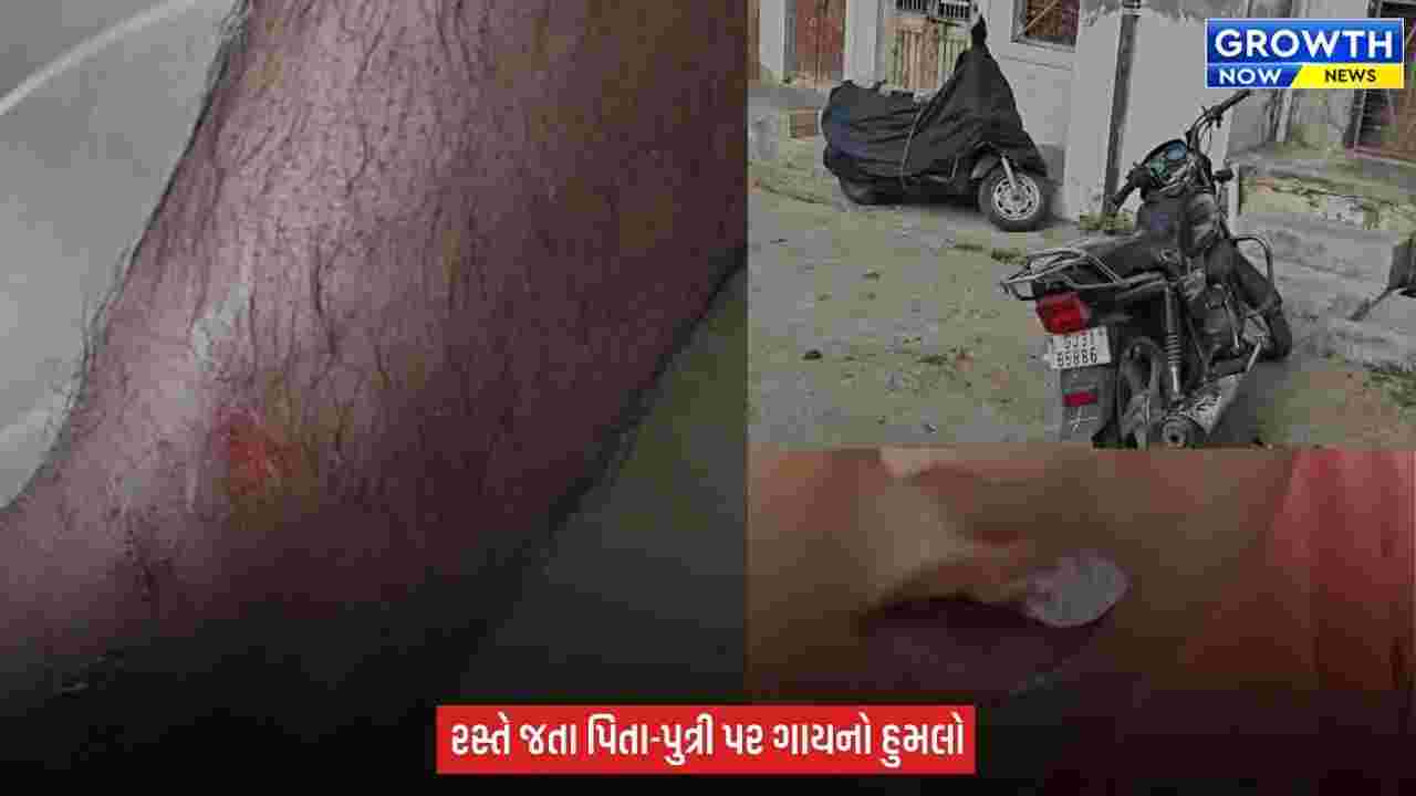 Arvalli : મોડાસામાં રખડતા ઢોરનો ત્રાસ, ગાયે પિતા-પુત્રી પર હુમલો કરતા થયા ઈજાગ્રસ્ત