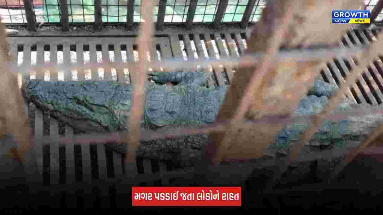 Rajkot : ચીખલીયા ગામમાં રહેણાંક વિસ્તારમાં મગર ઘૂસી આવ્યો, લોકોમાં ભયનો માહોલ સર્જાયો