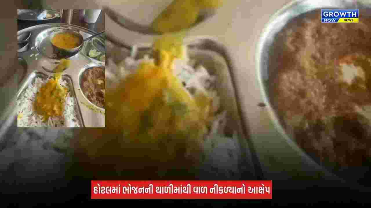 Bharuch : દહેજની આશીર્વાદ હોટલમાં ભોજનની થાળીમાંથી વાળ નીકળ્યાનો આક્ષેપ, સ્વચ્છતા સામે ઉભા થયા સવાલો