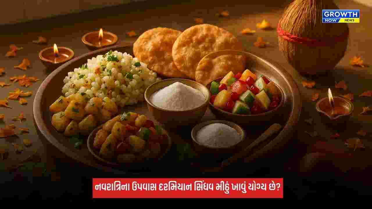 Shardiya Navratri 2026: નવરાત્રિના ઉપવાસ દરમિયાન સિંધવ મીઠું ખાવું યોગ્ય છે? જાણો