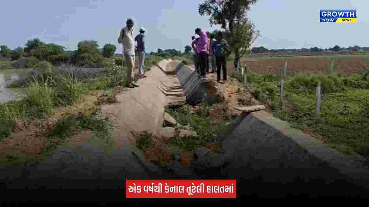 Mehsana News: શંખલપુરમાં એક વર્ષથી કેનાલ તૂટેલી હાલતમાં, સિંચાઈના પાણી માટે ખેડૂતો મારી રહ્યા છે વલખા
