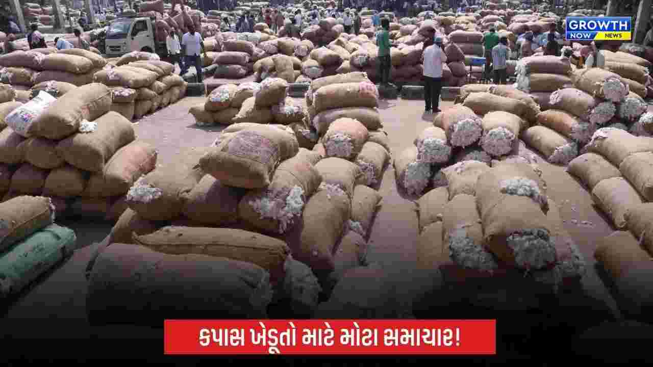 Cotton MSP Registration 2026: કપાસના ટેકાના ભાવે વેચાણ માટે ખેડૂતો 31 ઓક્ટોબર સુધી નોંધણી કરાવી શકશે