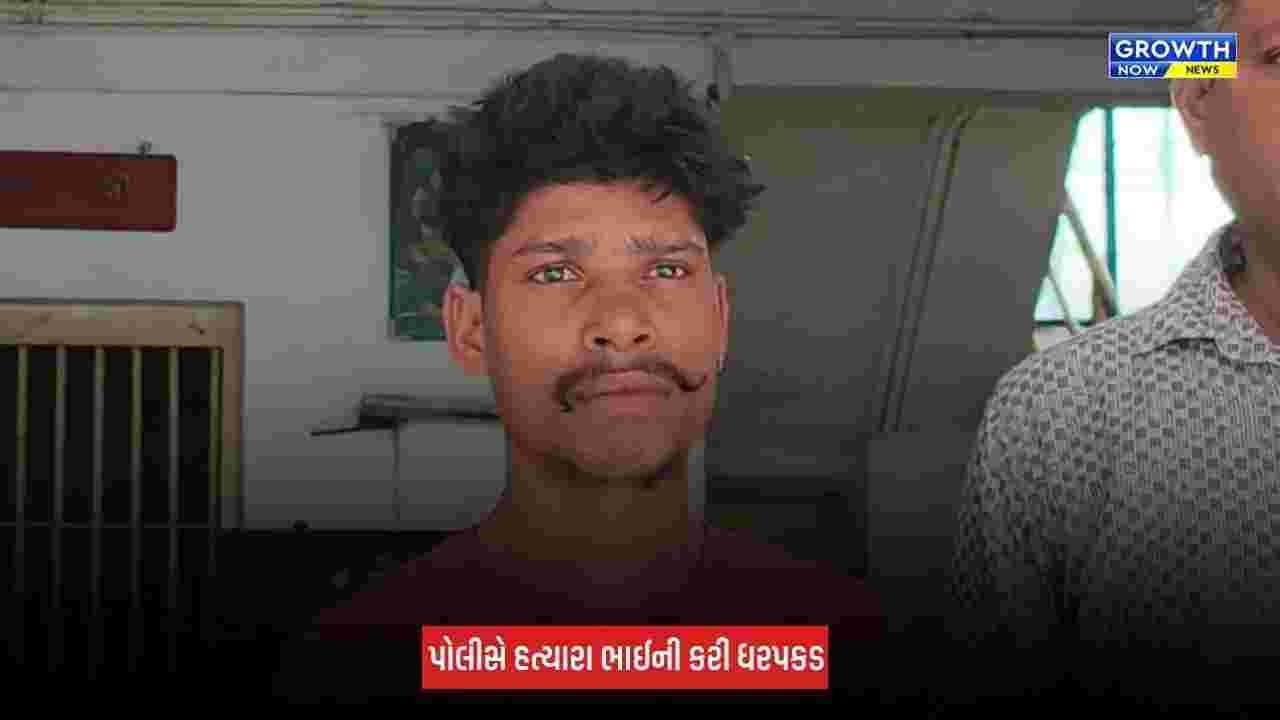 Dang : ભાઈએ જ ભાઈની કરી હત્યા કરી, કામધંધા બાબતની સામાન્ય બોલાચાલી વધુ ઉગ્ર બની