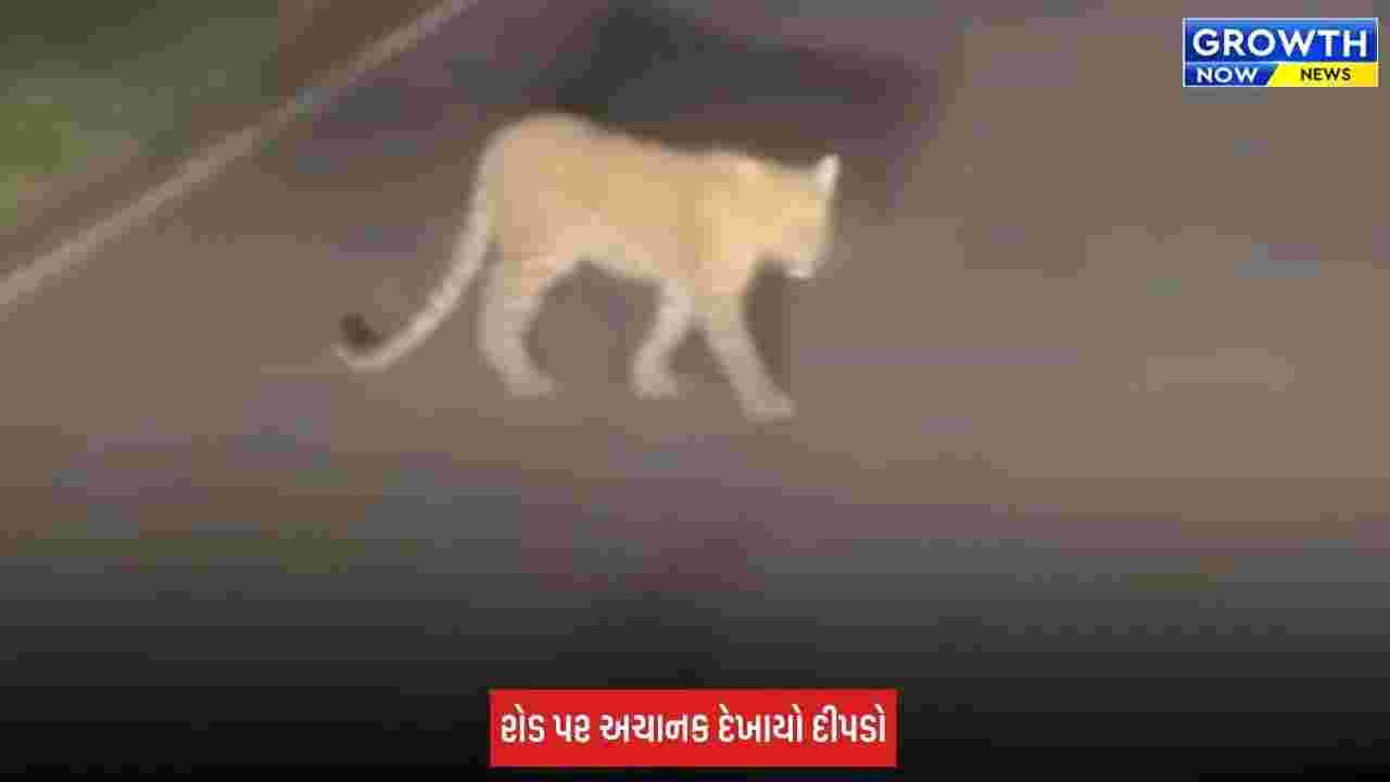 Video Viral: દેવગઢ બારીઆના ચેનપુર રોડ પર રાત્રીના સમયે દીપડાની લટાર
