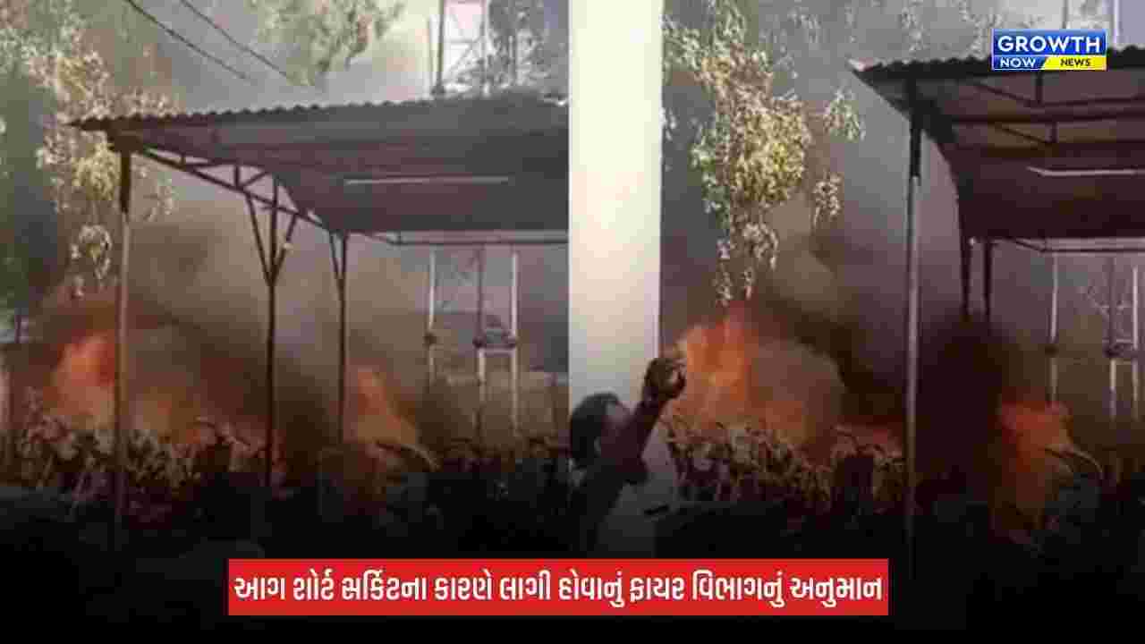 Danilimda Police Station Fire: દાણીલીમડા પોલીસ સ્ટેશનના પાછળના ભાગે લાગી ભીષણ આગ, 20થી વધુ વાહનો બળીને ખાખ