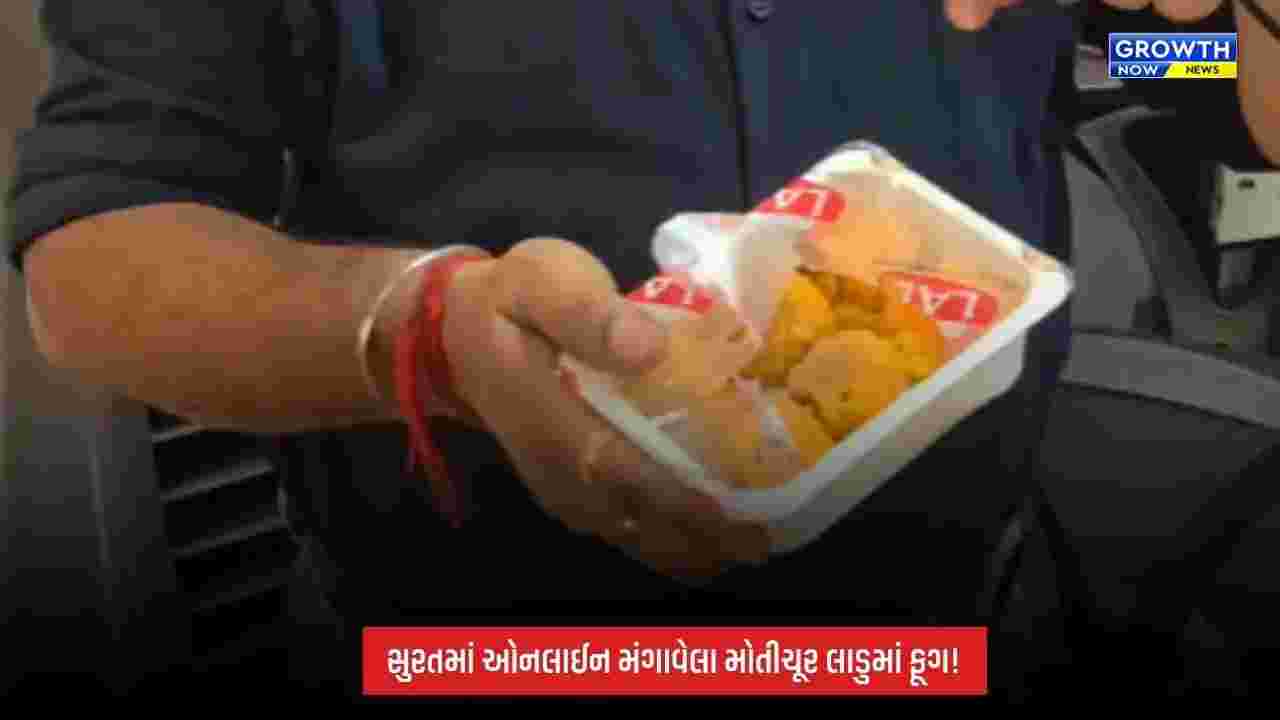 Suratમાં Blinkit પરથી મંગાવેલા મોતીચૂરના લાડુ ફૂગવાળા મળ્યાનો આક્ષેપ! પેકેટ ખોલતા જ દુર્ગંધ આવતા ગ્રાહક ચોંક્યો