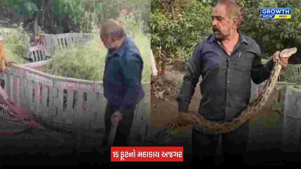 Amreli: ધારીના ગીગાસણ ગામે કૂવામાં ખાબક્યો 15 ફૂટનો મહાકાય અજગર, 2 કલાકના રેસ્ક્યૂ બાદ સુરક્ષિત મુક્ત કરાયો
