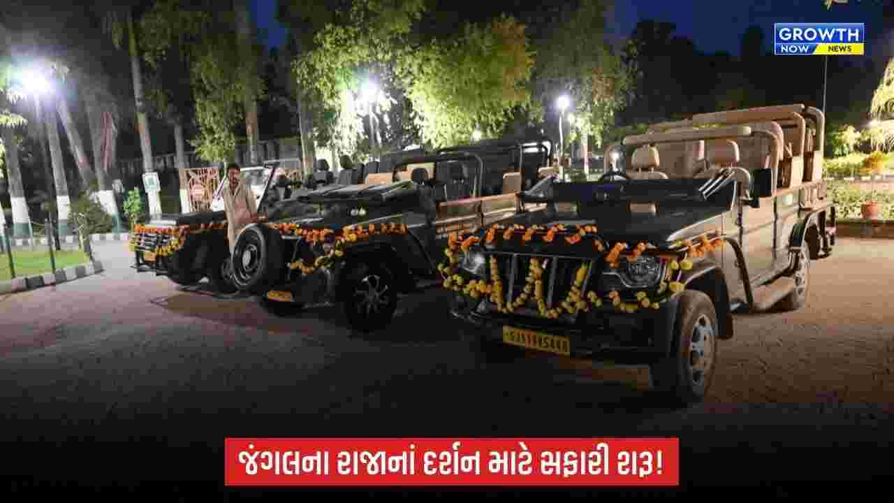 Junagadh News: સાસણગીર પ્રવાસીઓ માટે ખુલ્લું મુકાયું, સિંહદર્શન માટે પ્રવાસીઓમાં ભારે ઉત્સાહ