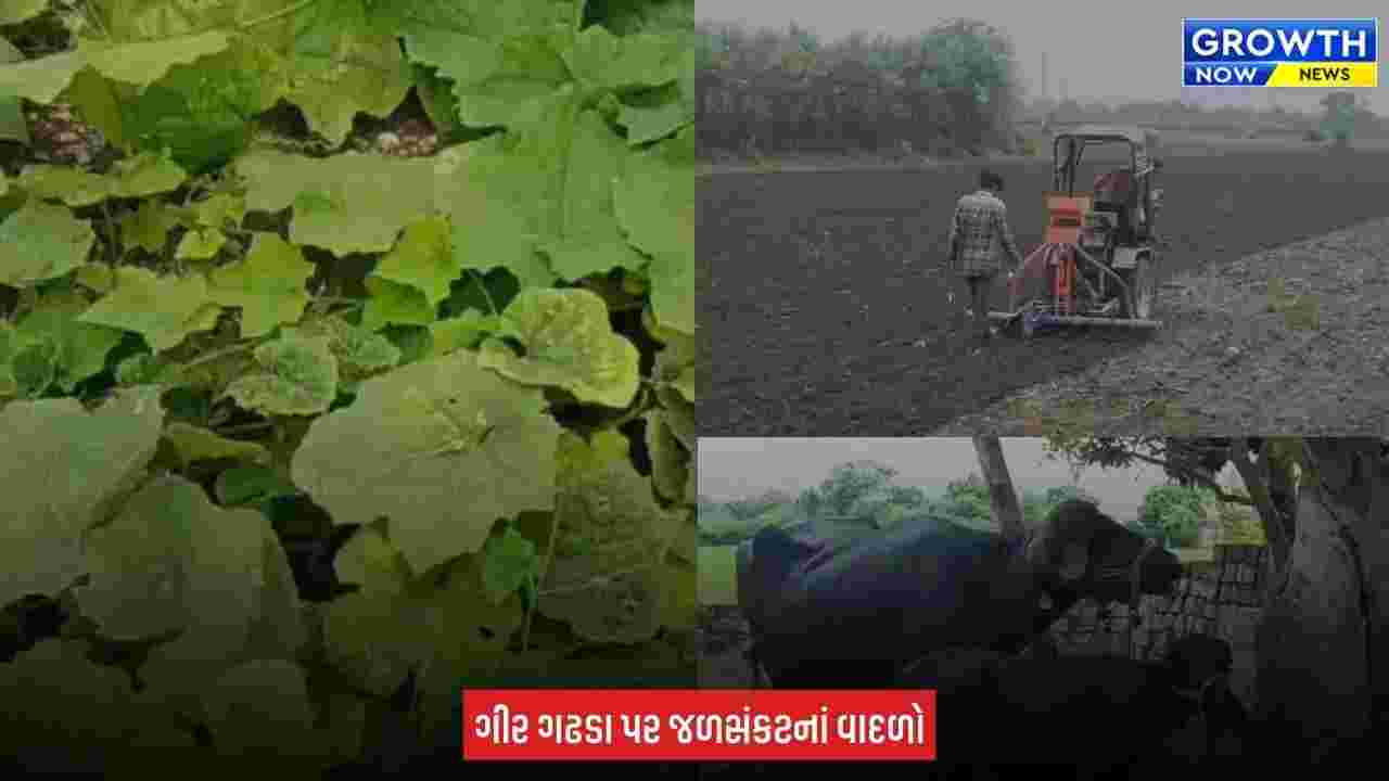 Gir Somnath : મછુંન્દ્રી ડેમમાં માત્ર 48% પાણી, વરસાદ ખેંચાતા ખેડૂતોની ચિંતા વધી