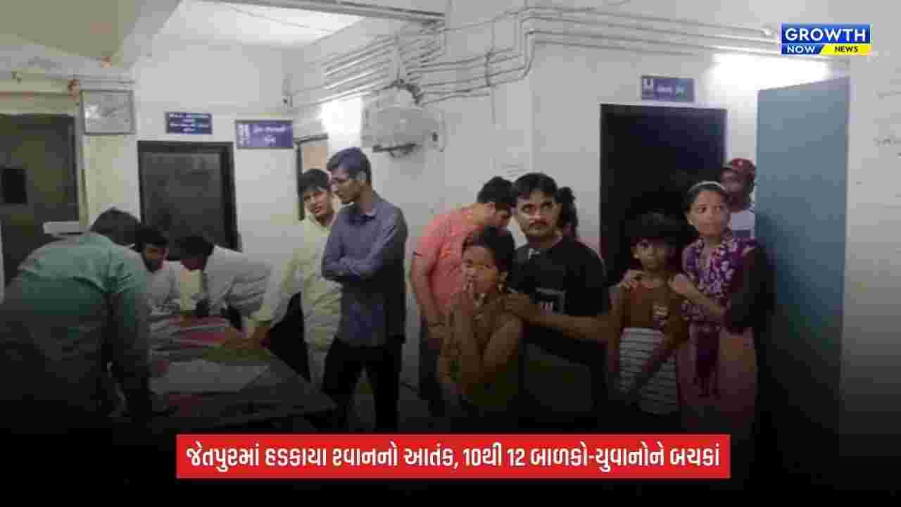 Jetpur Dog Attack: હડકાયા શ્વાનનો આતંક, 10થી 12 બાળકો-યુવાનોને બચકાં; અનેક વિસ્તારોમાં ફફડાટ