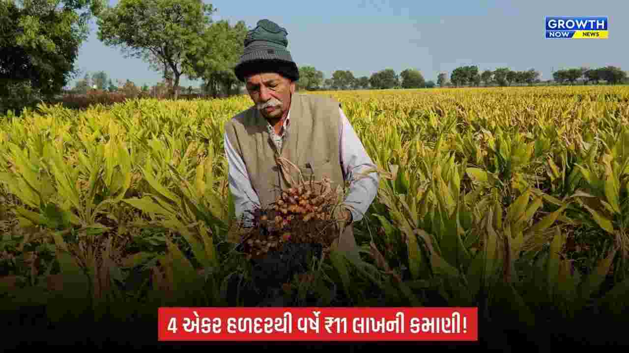 4 એકર હળદરથી વર્ષે ₹11 લાખની આવક! કાળુભાઈએ પ્રાકૃતિક ખેતી સાથે ખેત-પેદાશને બનાવી બ્રાન્ડ