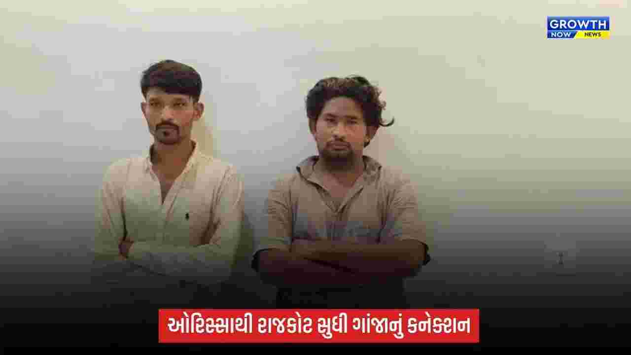 204 કિલો ગાંજા કેસમાં રાજકોટ ક્રાઈમ બ્રાન્ચની કાર્યવાહી, ઓરિસ્સાથી સપ્લાય કરનારા બે સગા ભાઈ ઝડપાયા