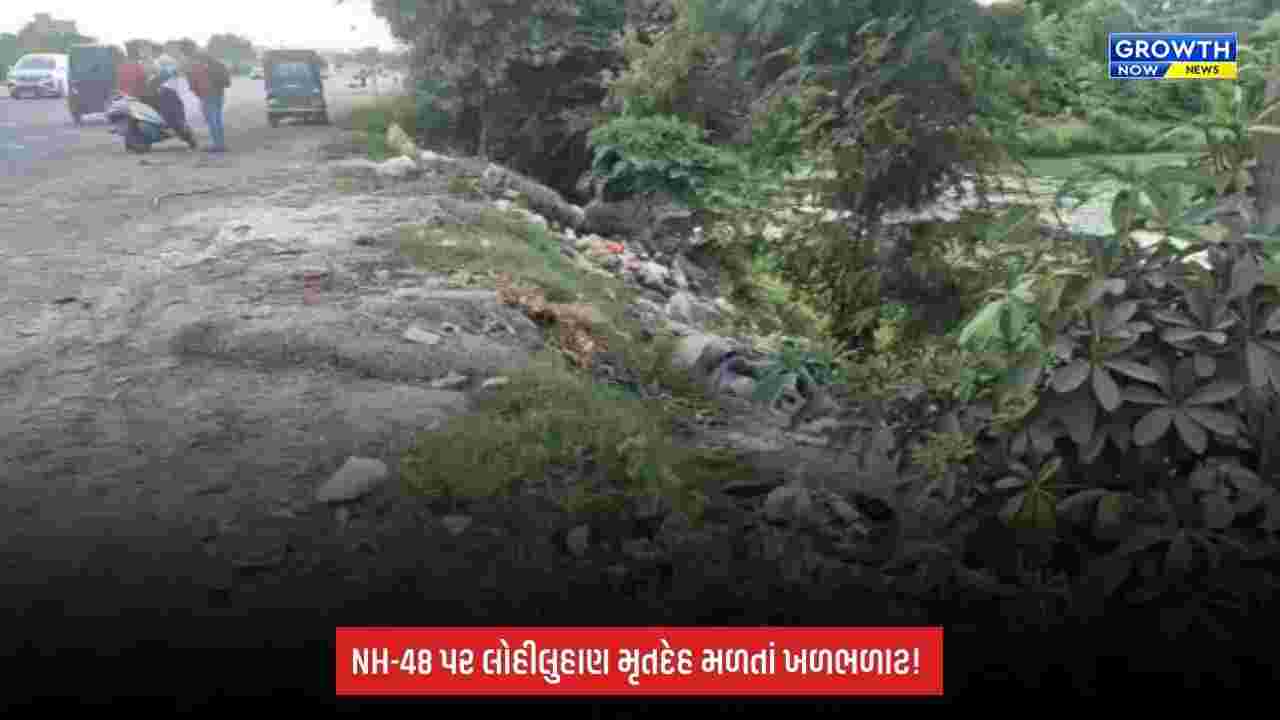 Vadodara: NH-48 પર જંબુવા બ્રિજ નજીક અજાણ્યા વ્યક્તિનો લોહીલુહાણ મૃતદેહ મળ્યો, ચકચાર
