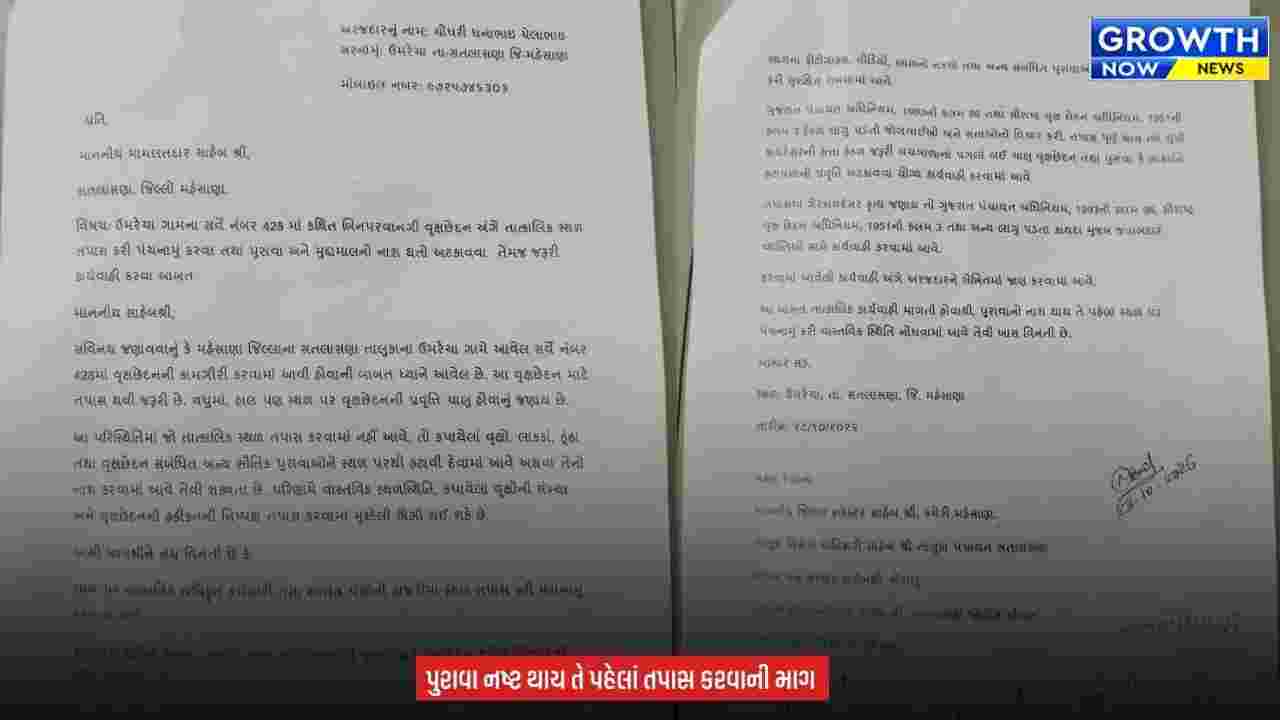 Mehsana Alleged Illegal Tree : મહેસાણાના ઉમરેચા ગામે કથિત ગેરકાયદે વૃક્ષછેદનથી ખળભળાટ, વનવિભાગ અને વહીવટી તંત્રને સ્થાનિકોએ કરી લેખિત ફરિયાદ