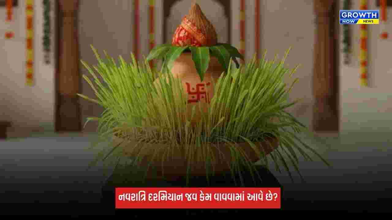 Shardiya Navratri 2026: નવરાત્રિ દરમિયાન જવ કેમ વાવવામાં આવે છે? જાણો નિયમો
