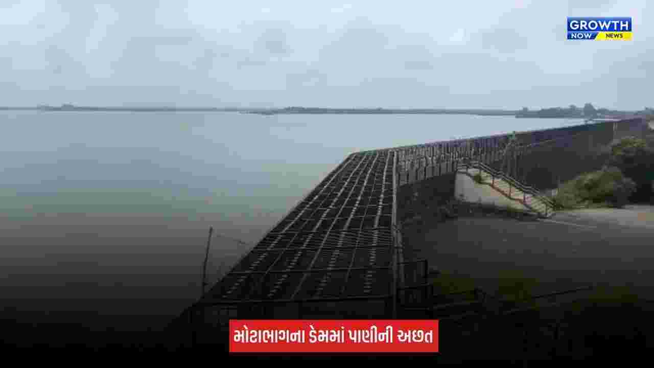 Rajkot : ઓછા વરસાદના કારણે મોટાભાગના ડેમોમાં પાણીની આવક ઓછી, માત્ર 3 ડેમ જ ઓવરફ્લો