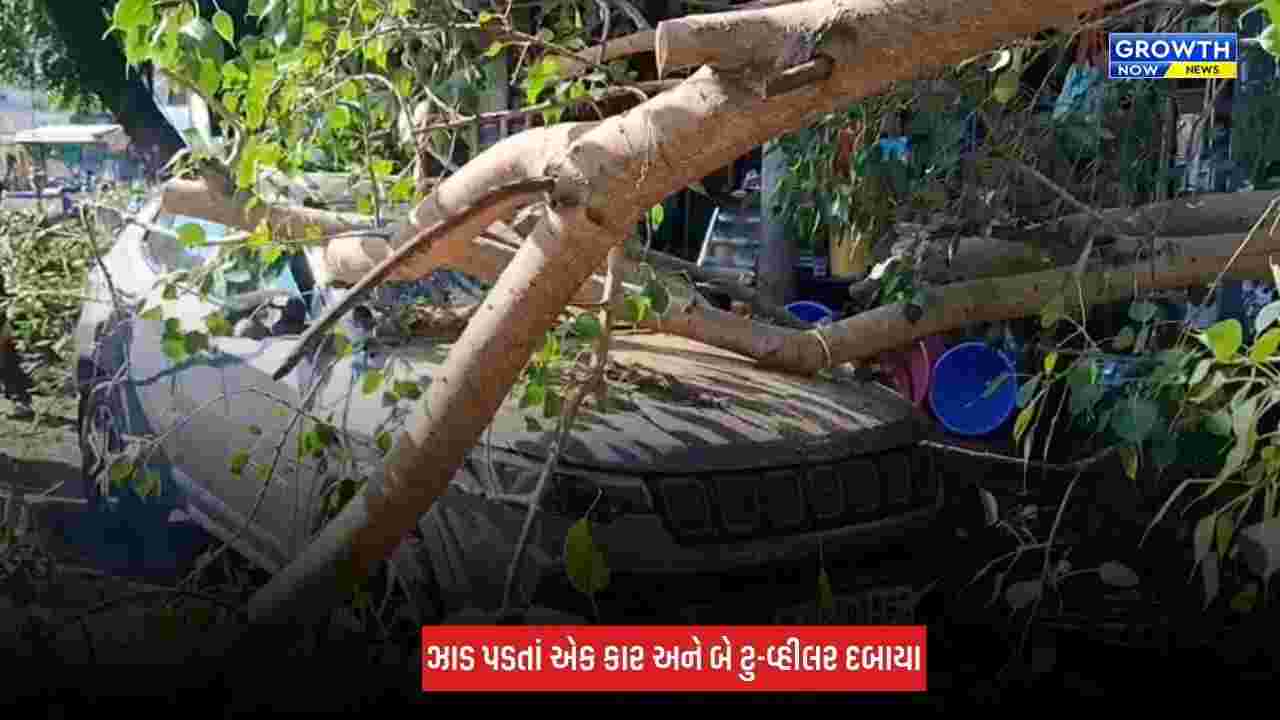 Ahmedabad : નવરંગપુરા વિસ્તારમાં ઝાડ ધરાશાયી, કાર સહિત ત્રણ વાહનો દબાયા