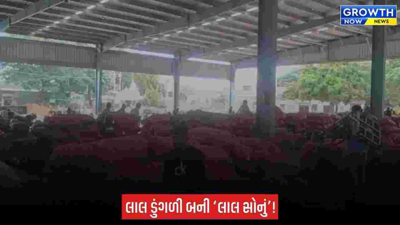 Bhavnagar ના મહુવા યાર્ડમાં લાલ ડુંગળીના ભાવ 800 પાર, ખેડૂતોની હાલત દયનીય બની ?