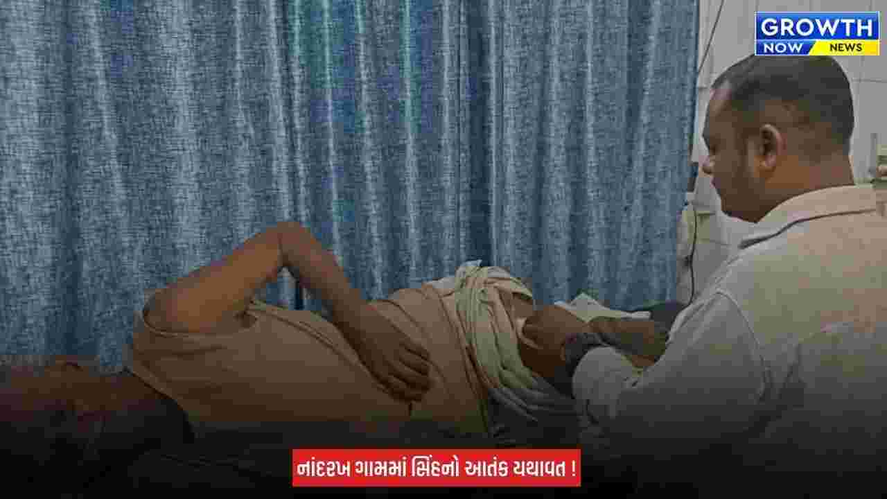 Gir Somnath ના ઉનામાં ખેતરના મકાન બહાર સૂતા વૃદ્ધ પર સિંહ ત્રાટક્યો, ઈજાગ્રસ્તને સારવાર હેઠળ હોસ્પિટલ ખસેડાયા