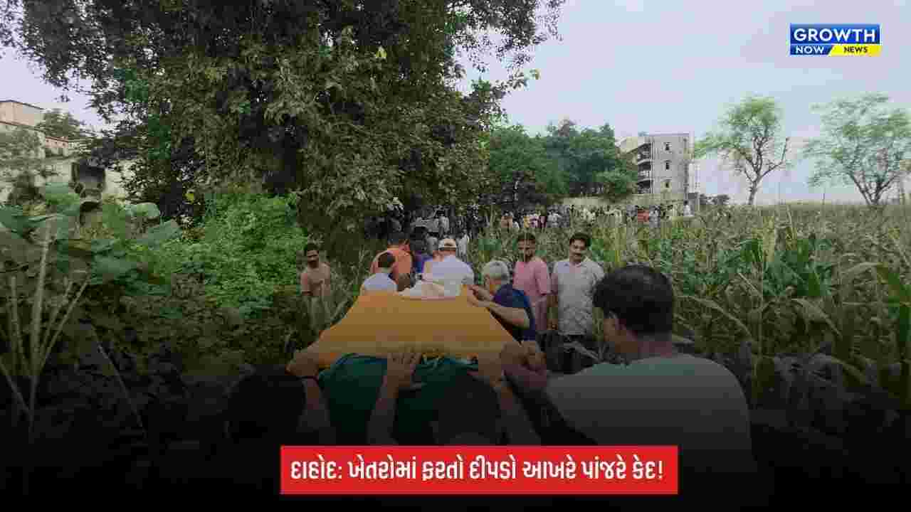 Dahod Breaking:  દીપડાનો આતંક ખતમ! રળીયાતી ગામમાં પાંજરે પુરાયો દીપડો, ગ્રામજનોએ લીધો રાહતનો શ્વાસ