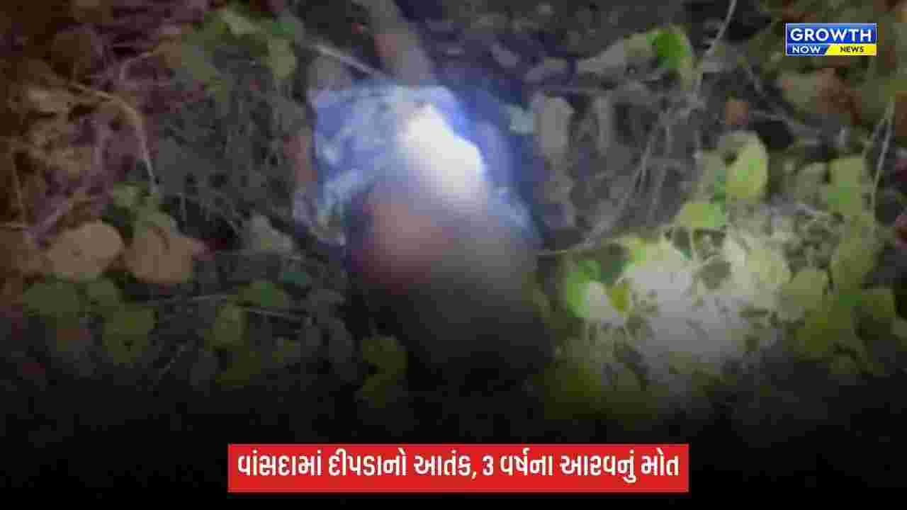 Navsariના વાંસદામાં દીપડાનો આતંક: આંગણામાં રમતા 3 વર્ષના આરવને ઉઠાવી ગયો, જંગલમાંથી મૃતદેહ મળ્યો