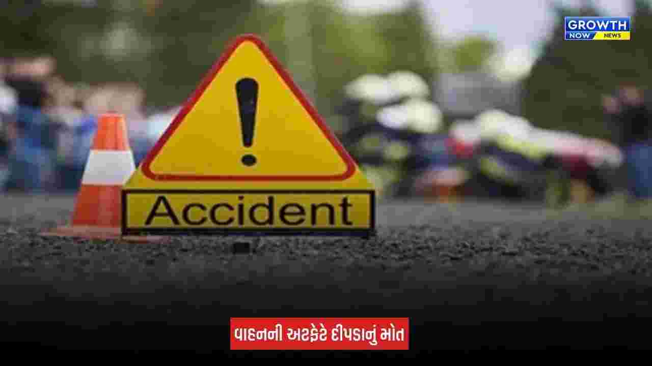 Leopard Death: ભરૂચ-વડોદરા નેશનલ હાઈવે પર કંડારી નજીક અજાણ્યા વાહનની અડફેટે દીપડાનું મોત