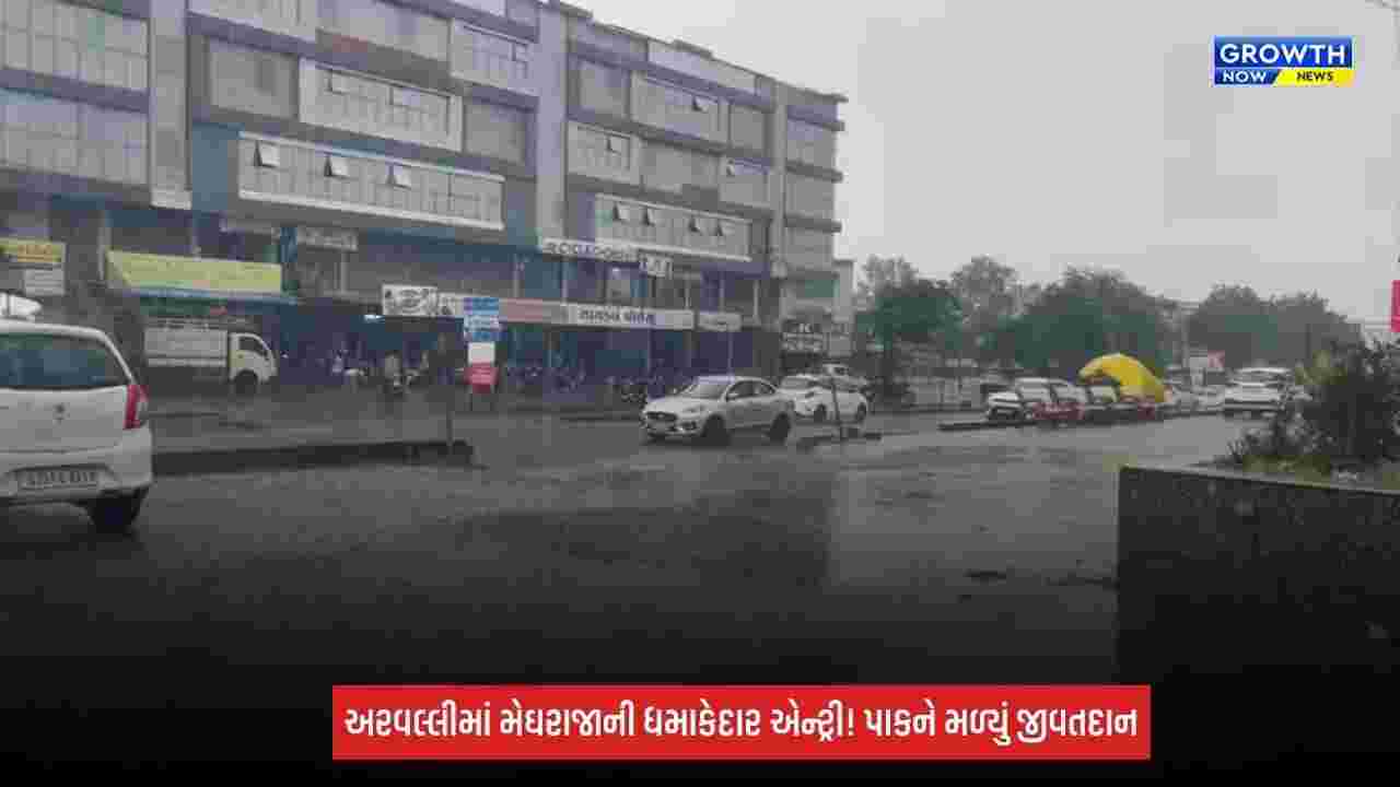 Aravalliમાં મેઘરાજાની ધમાકેદાર એન્ટ્રી! મોડાસા-માલપુર-મેઘરજમાં વરસાદ, સુકાતા પાકોને મળ્યું જીવતદાન