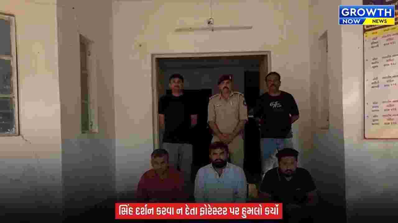 Amreli News : અમરેલીમાં સિંહ દર્શન માટે દાદાગીરી, ફોરેસ્ટ કર્મચારી પર હુમલો કરનાર 3 આરોપી ઝડપાયા