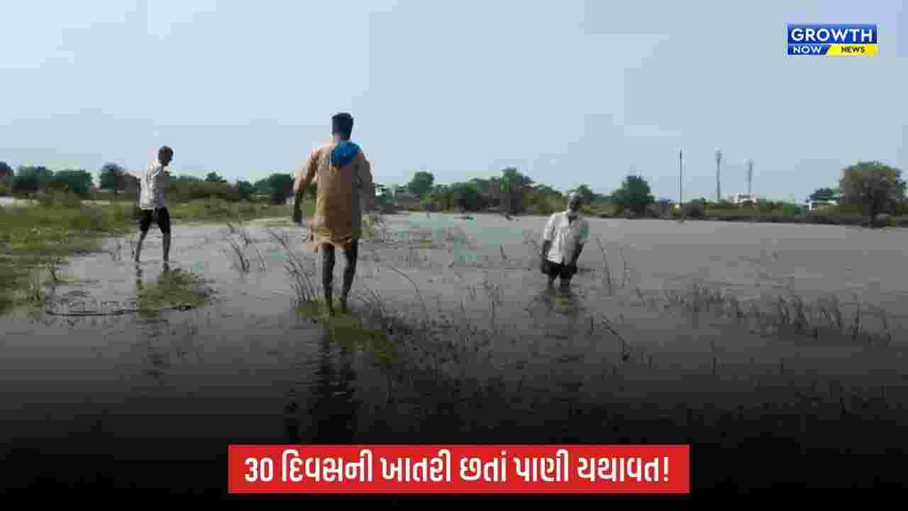 ભરૂચના લુવારામાં 500 એકર જમીન જળમગ્ન, NHAIની કામગીરી સામે ખેડૂતોમાં રોષ