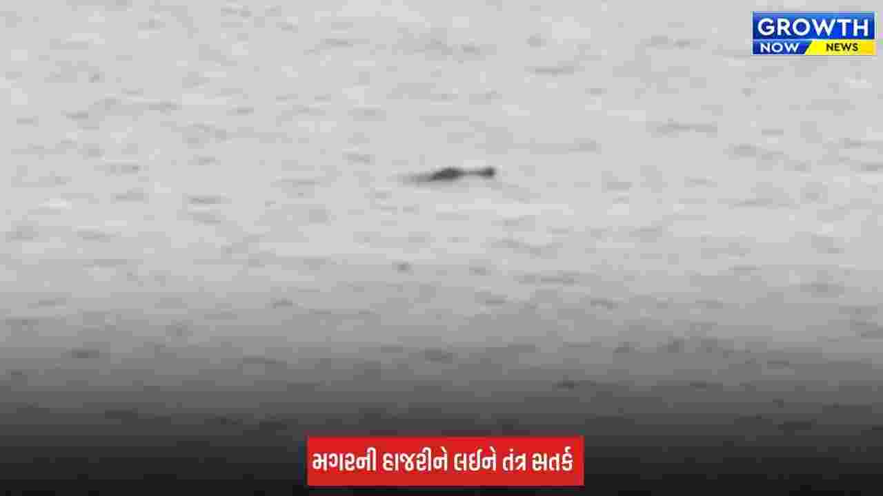 Surat: તાપી નદીમાં મગર દેખાતા તંત્ર એલર્ટ, કોઝવે નજીક વન વિભાગે રેસ્ક્યુ ટીમ તૈનાત કરી