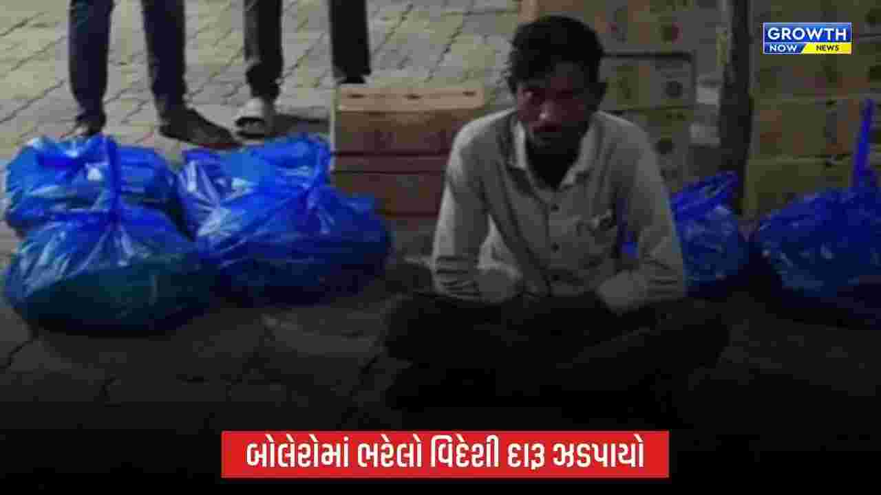 નવસારીમાં LCBની મોટી કાર્યવાહી, 855 બોટલ વિદેશી દારૂ સાથે બોલેરો પિકઅપ ઝડપાઈ