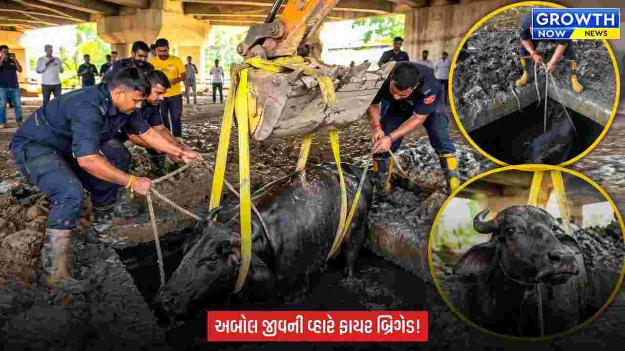 Surat : અબોલ જીવ માટે ફાયર જવાનો મેદાને, પાંડેસરામાં ગાયનું સફળ રેસ્ક્યૂ કરાયું