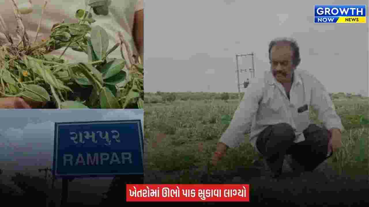 Amreli : વાવણી બાદ વરસાદ ગાયબ, ધારીના ખેડૂતોની મહેનત પર પાણી ફરી વળ્યું