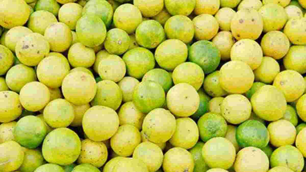 300 પાર લીંબુના ભાવ: ઉનાળામાં લીંબુ હવે લક્ઝરી