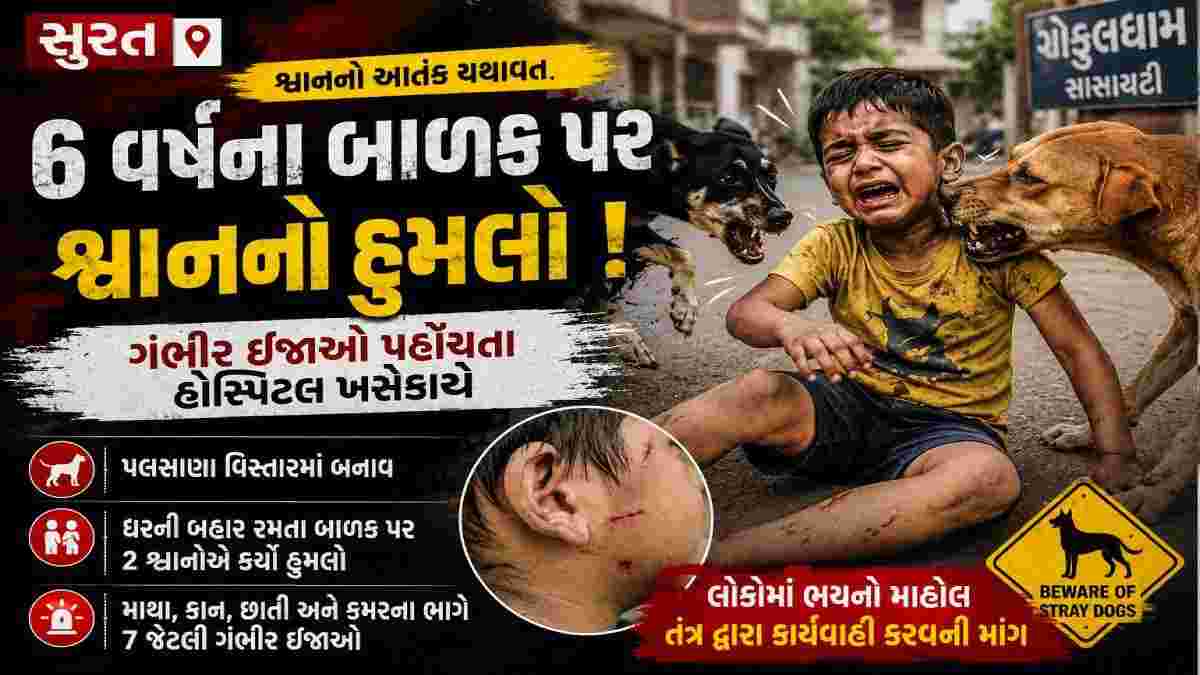 સુરતમાં 6 વર્ષના બાળક પર શ્વાનનો હુમલો, ગંભીર ઇજાઓ પહોંચતા હોસ્પિટલ ખસેડાયો