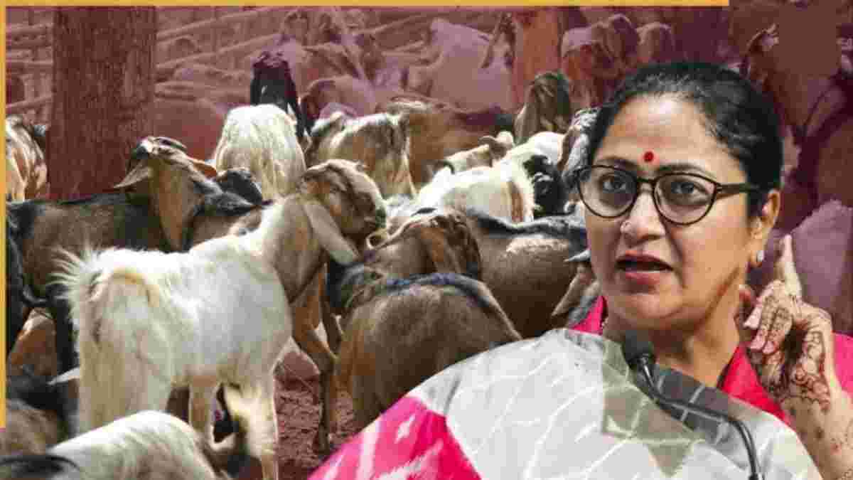 બકરી ઇદ પર દિલ્હી સરકારની કડક ગાઇડલાઇન: રસ્તા અને જાહેર સ્થળો પર કુરબાની આપવા પર પ્રતિબંધ
